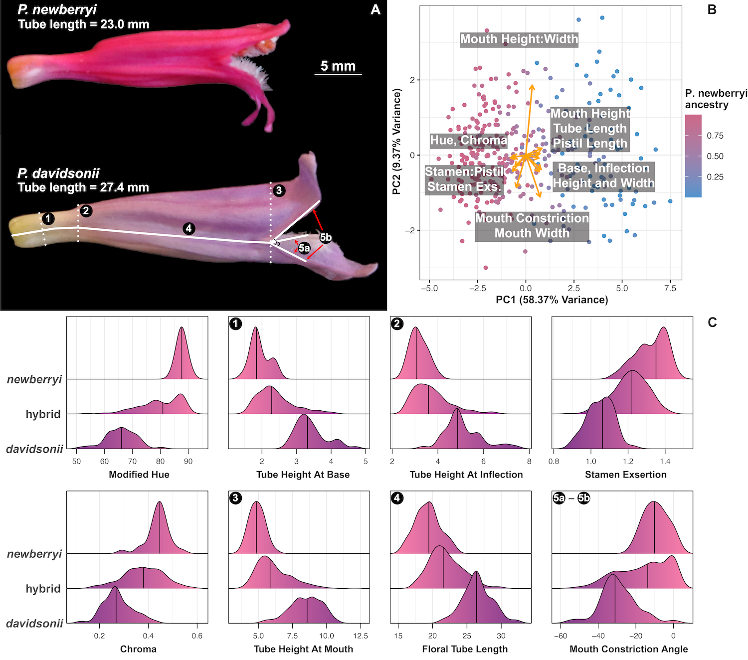 Figure 3 from Stone et al., 2026.