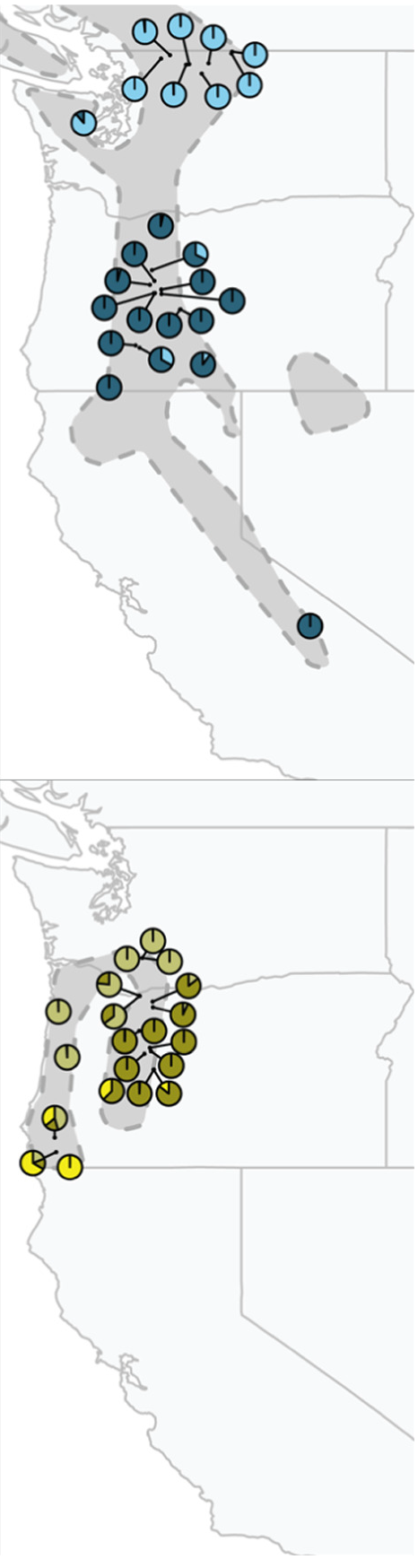 Structure plots of 5 Penstemon species